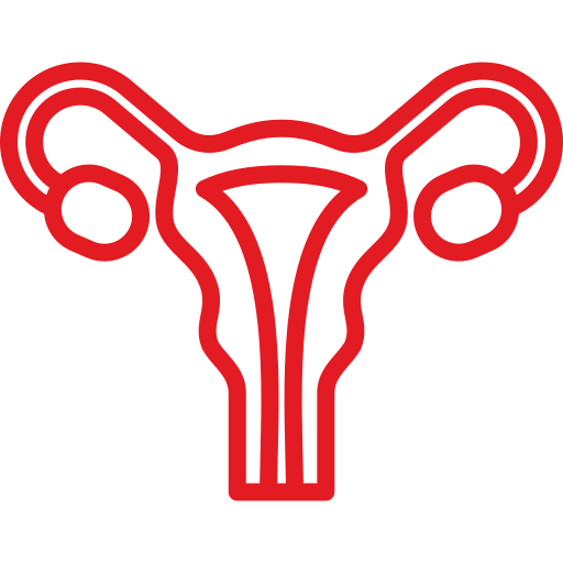 Women's Interventions